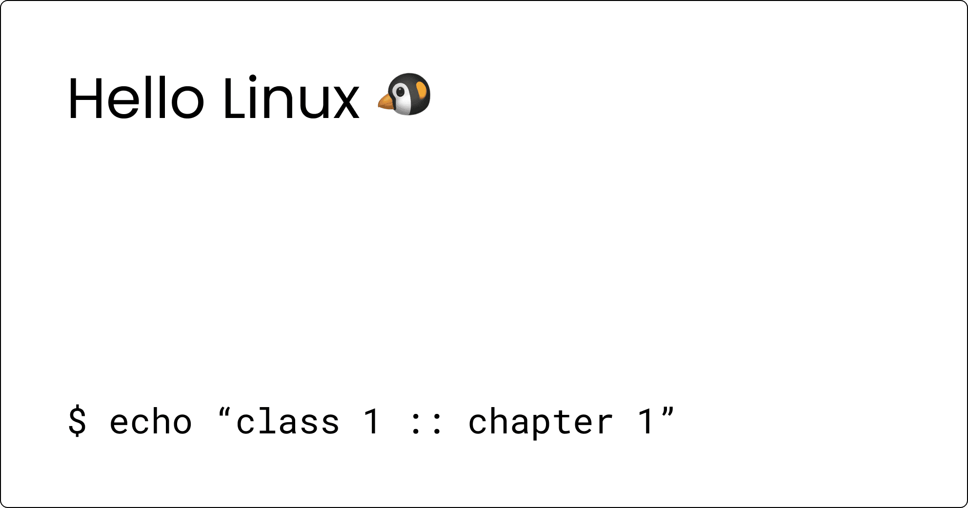 What Went Down in the First Class